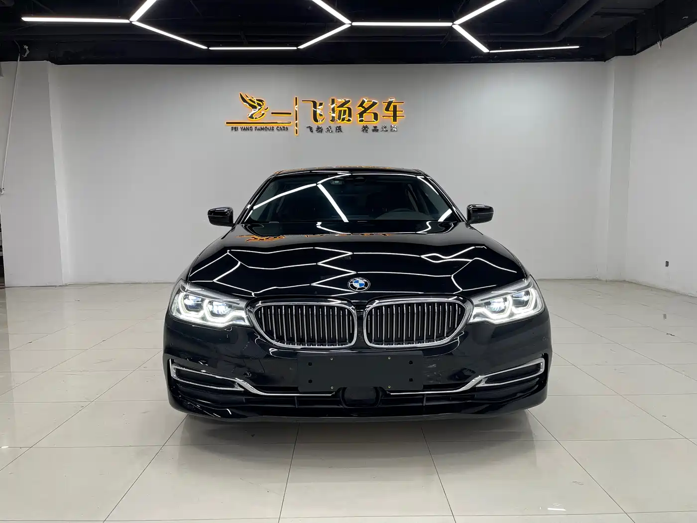 BMW 5 SERIES NEW ENERGY