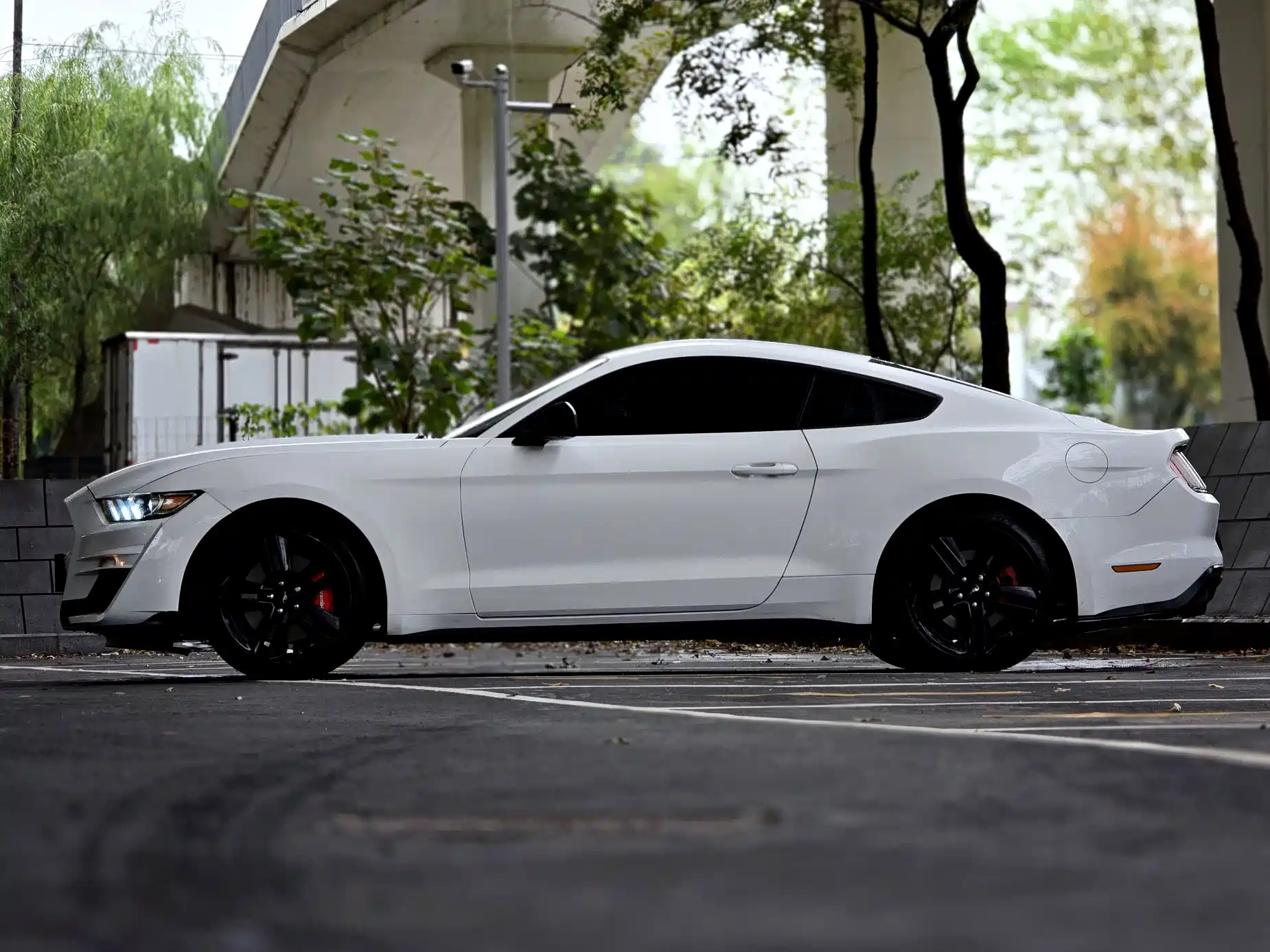 صورة 3 - Ford Mustang