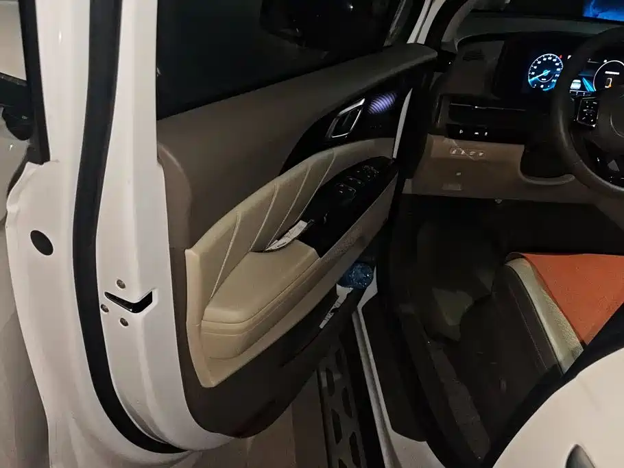 Kia Carnival 2024 2021 2.0T Flagship Edition