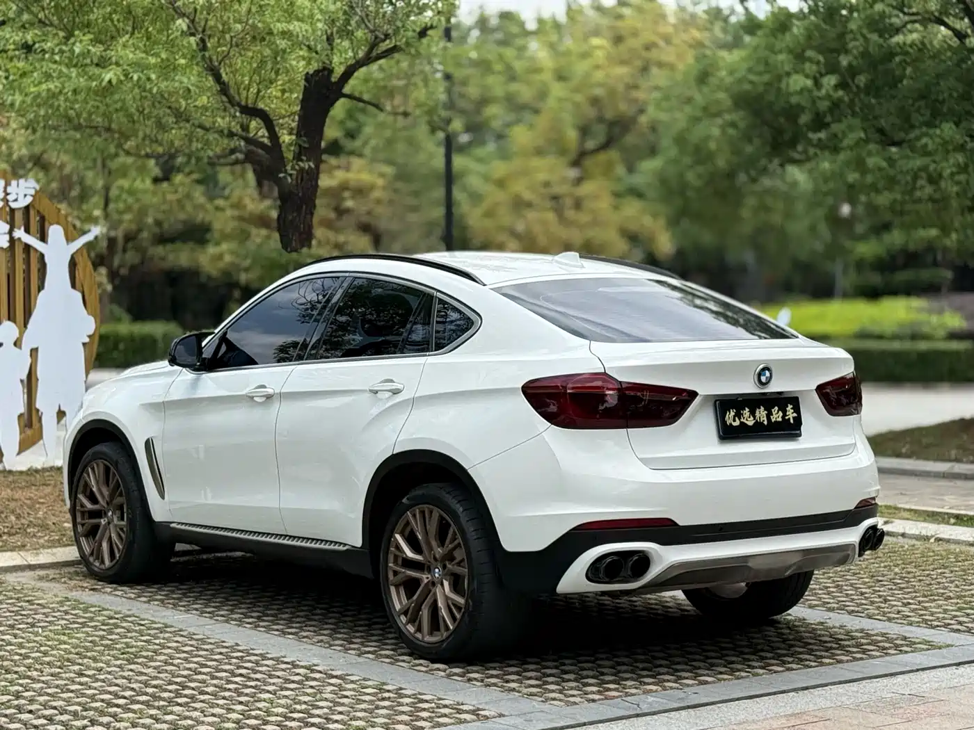 BMW X6 2017 xDrive35i Luxury фото 7