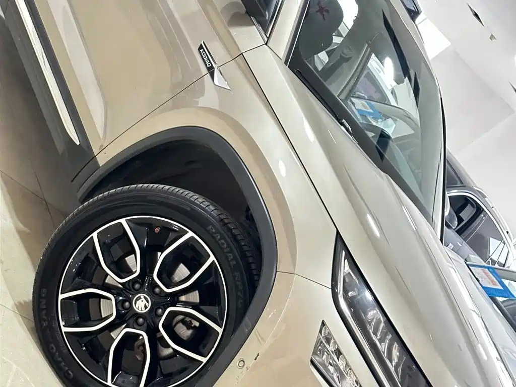 Škoda Kodiaq 2018 TSI380 7-seat AWD Flagship фото 26