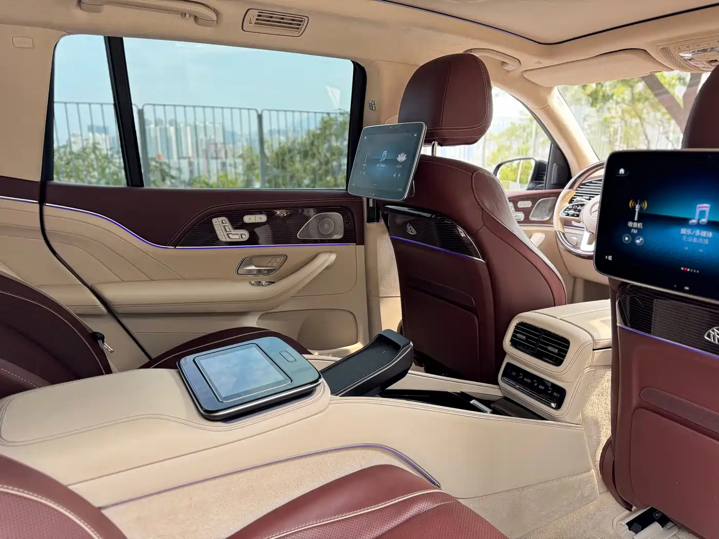 Mercedes-Benz Maybach GLS 2021 GLS 600 4MATIC Ritual Edition фото 18