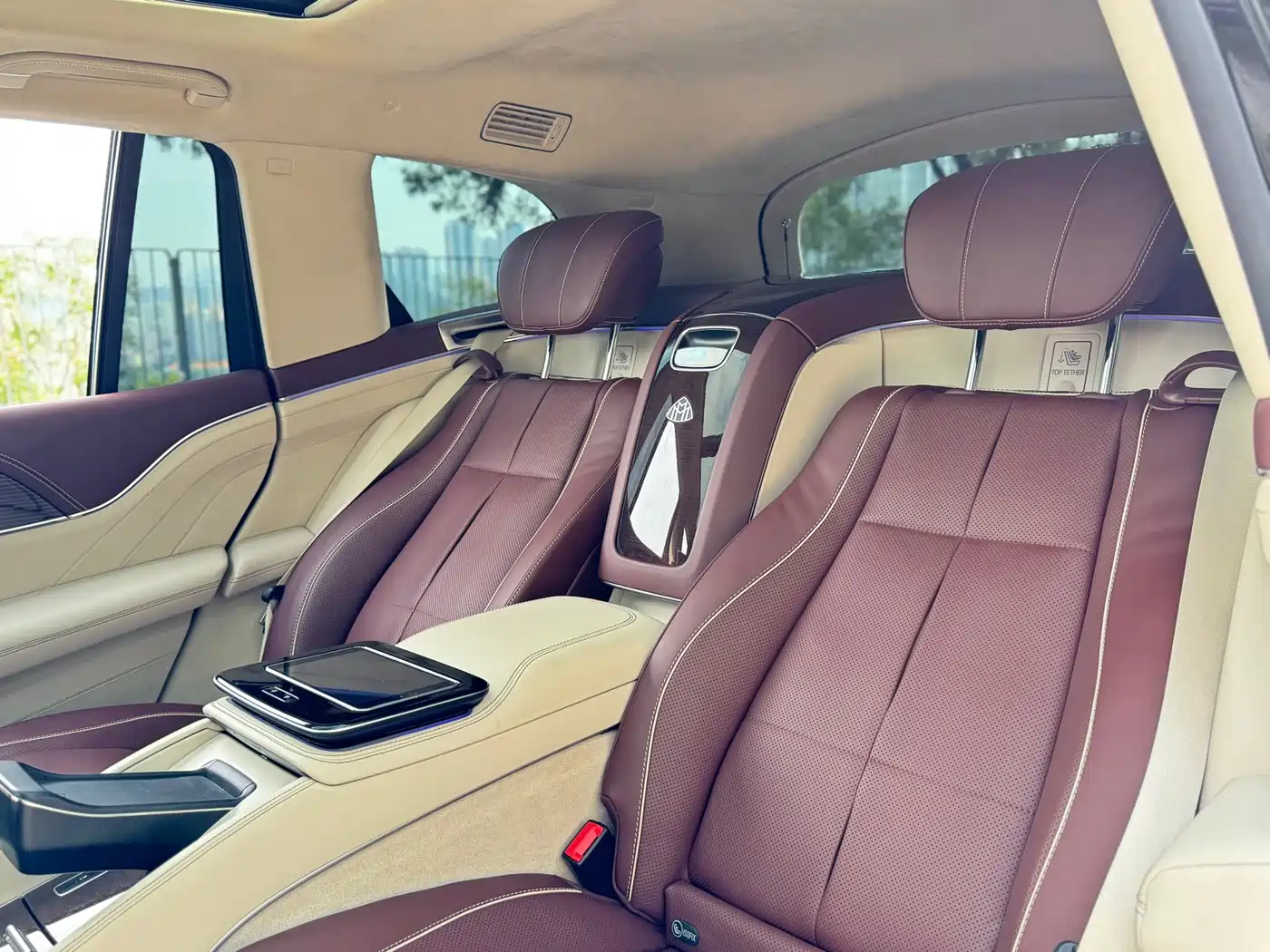 Mercedes-Benz Maybach GLS 2021 GLS 600 4MATIC Ritual Edition фото 12
