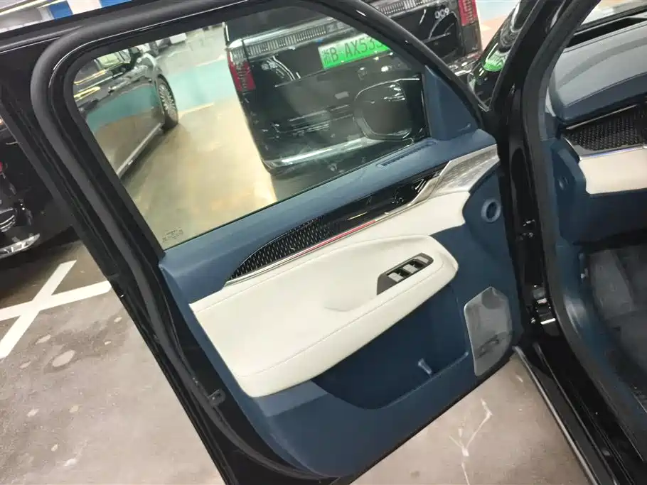 ZEEKR EXTREME KRYPTON 009