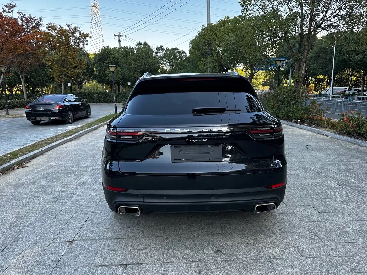 Porsche Cayenne 2018 Cayenne 3.0T фото 10