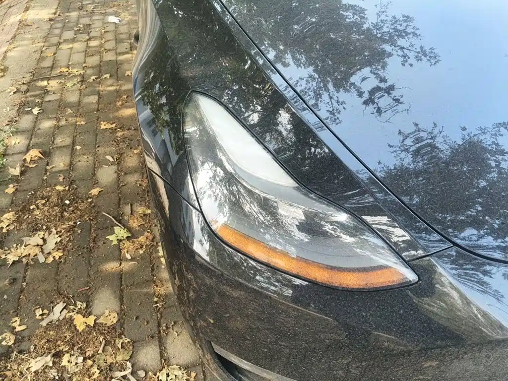 Фото 7 - Tesla Model Y
