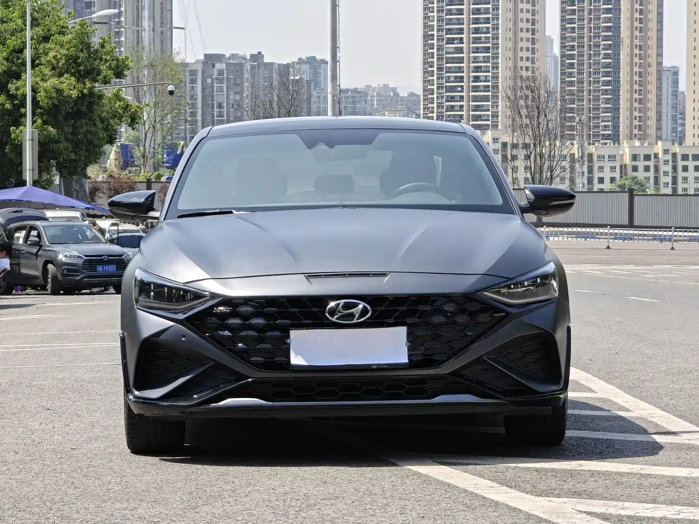 Hyundai Fista 2023 270T N Line DLX Luxury Edition фото 2