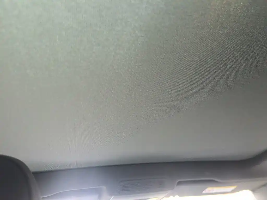 Фото 20 - Volkswagen ID.4 X
