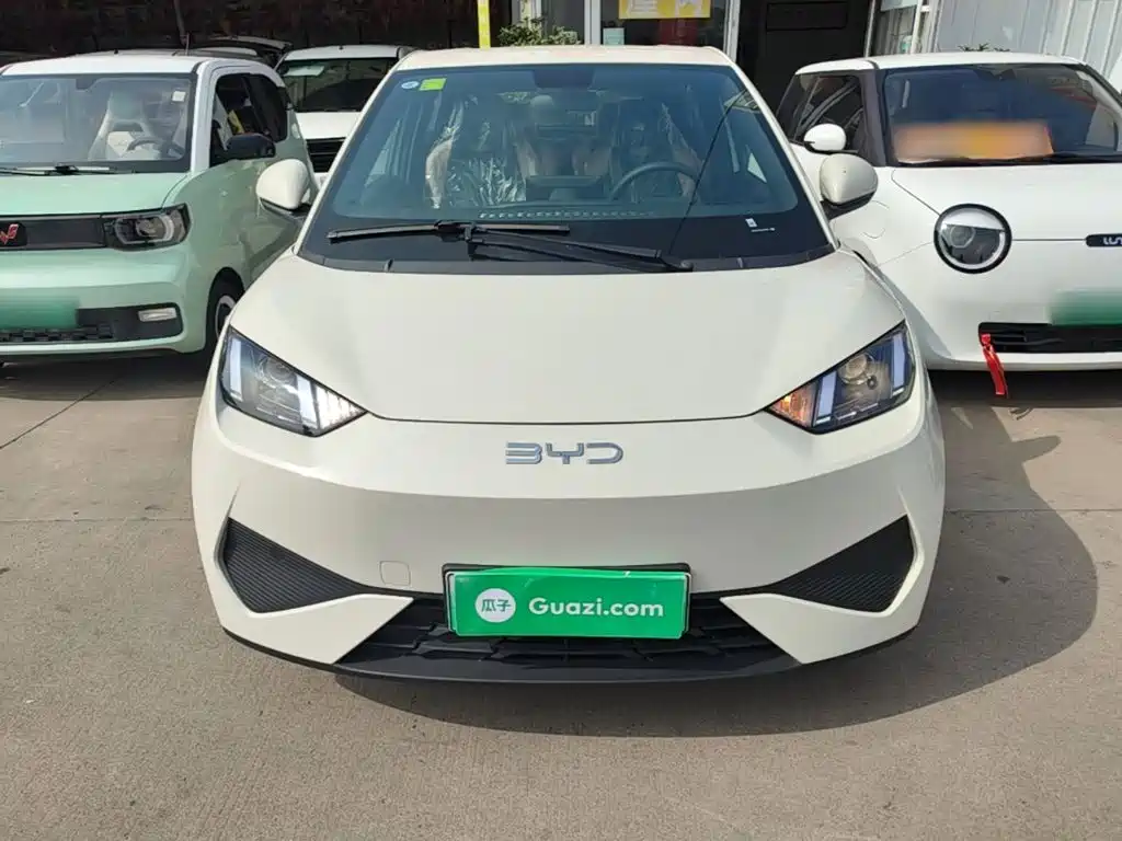 BYD Seagull 2026 2025 Smart Drive Edition 305km Vitality Version