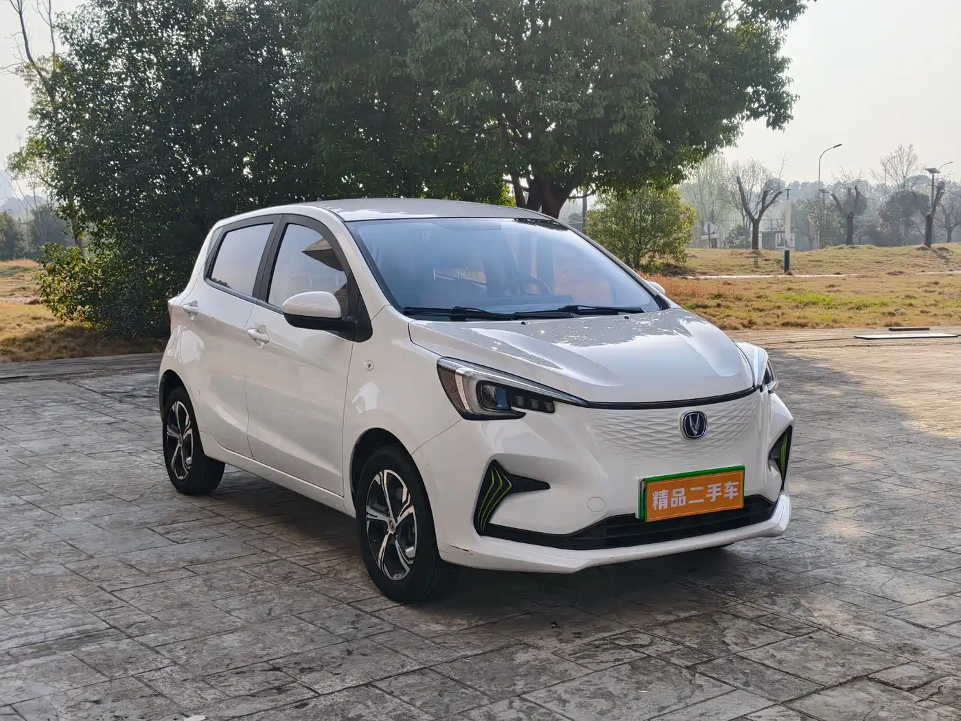 CHANGAN BENBEN E STAR