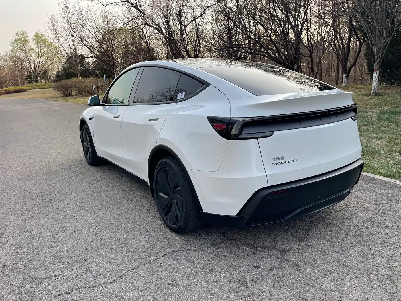 TESLA MODEL Y