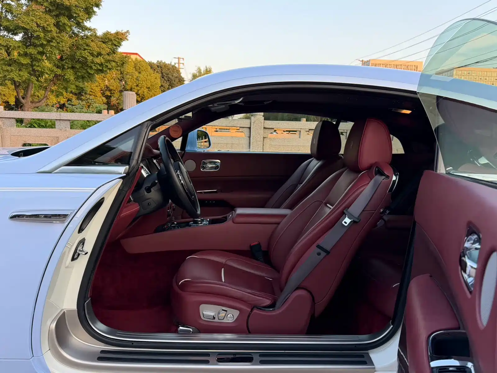 Фото 8 - Rolls-Royce Wraith