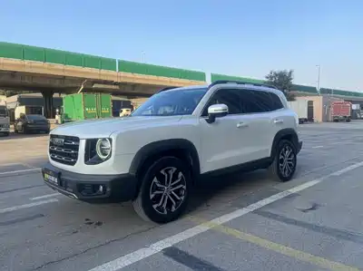 Haval Dargo