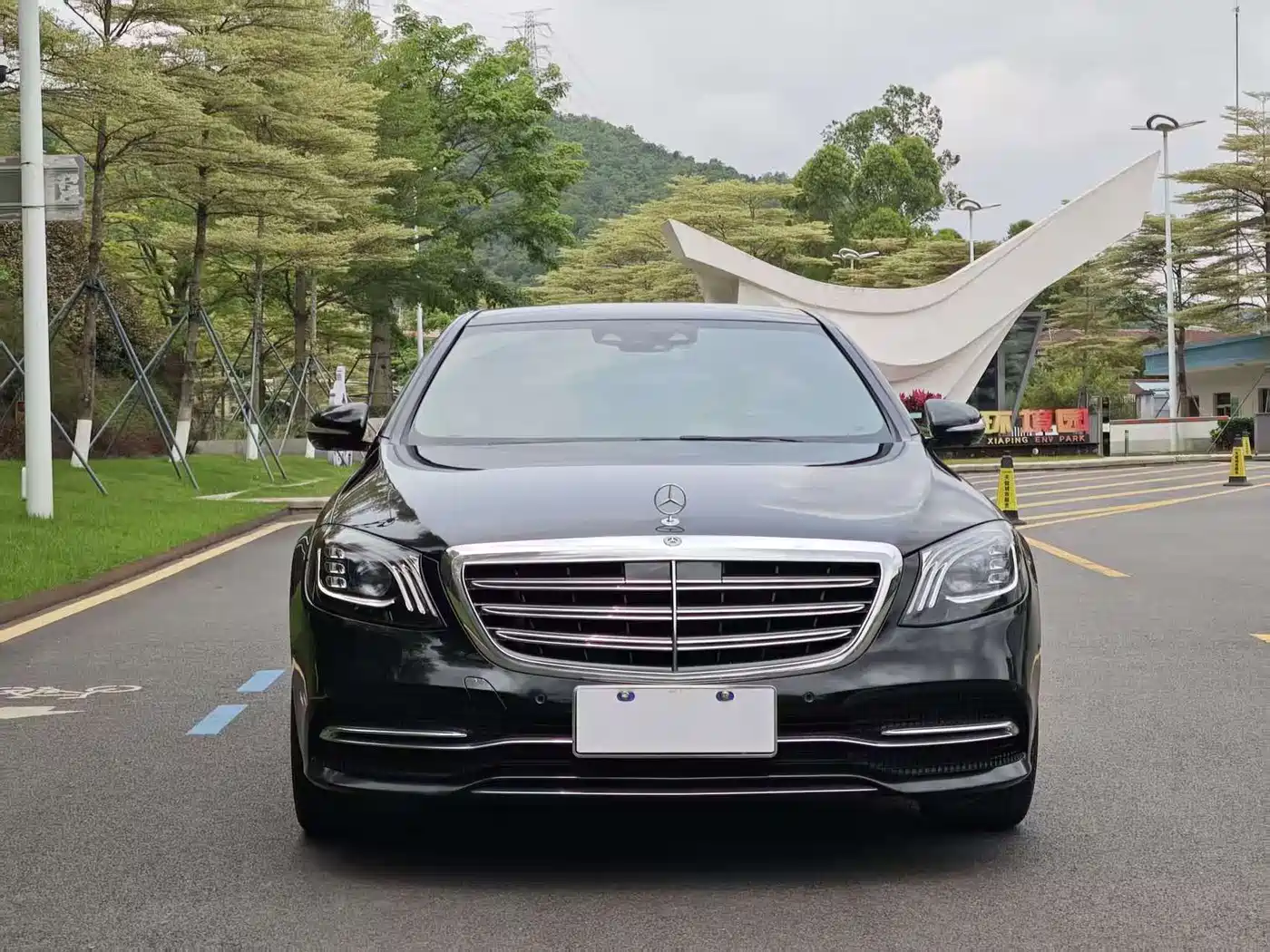 Mercedes-Benz S-Class 2020 S 350 L Premium Edition Collector's Version фото 2