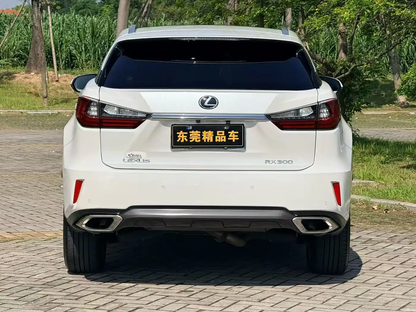 Lexus RX 2016 300 4WD Elegance Edition (China V) фото 5