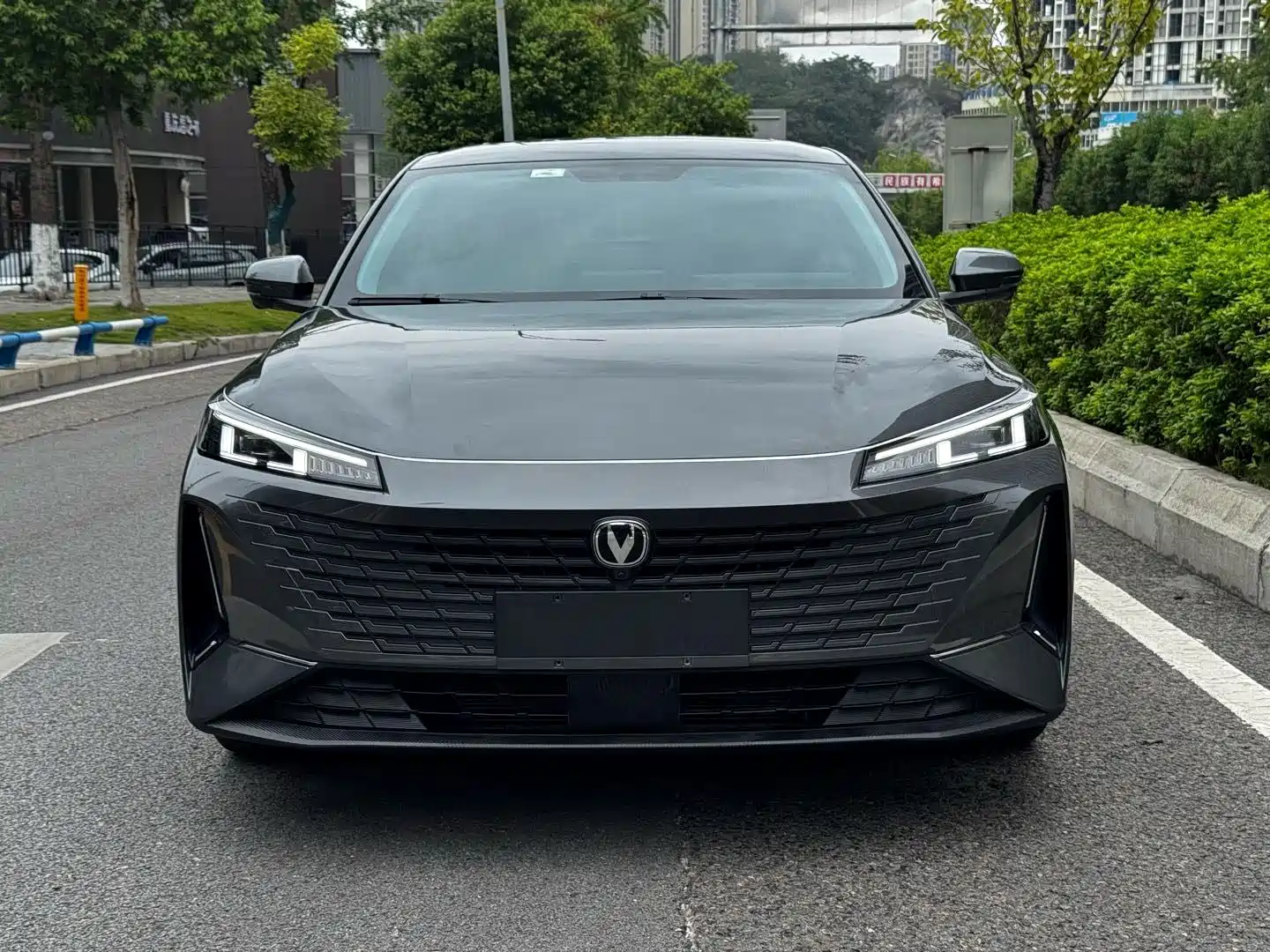 Фото 2 - Changan Eado