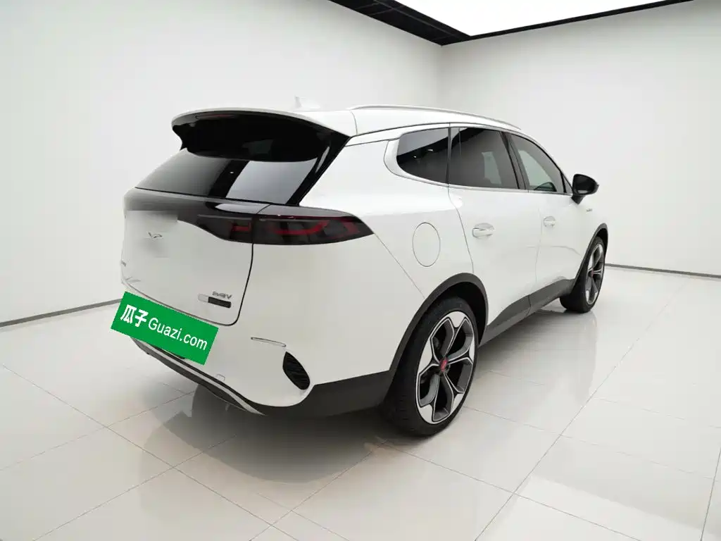 Denza X 2020 2020 Model PHEV Flagship Edition