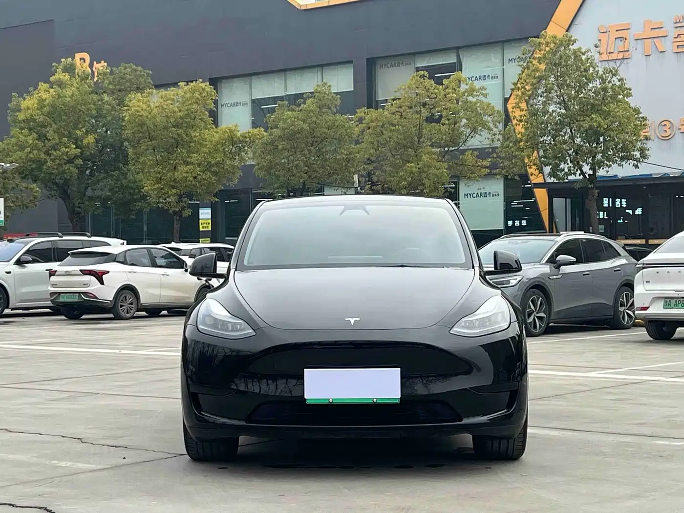 TESLA MODEL Y