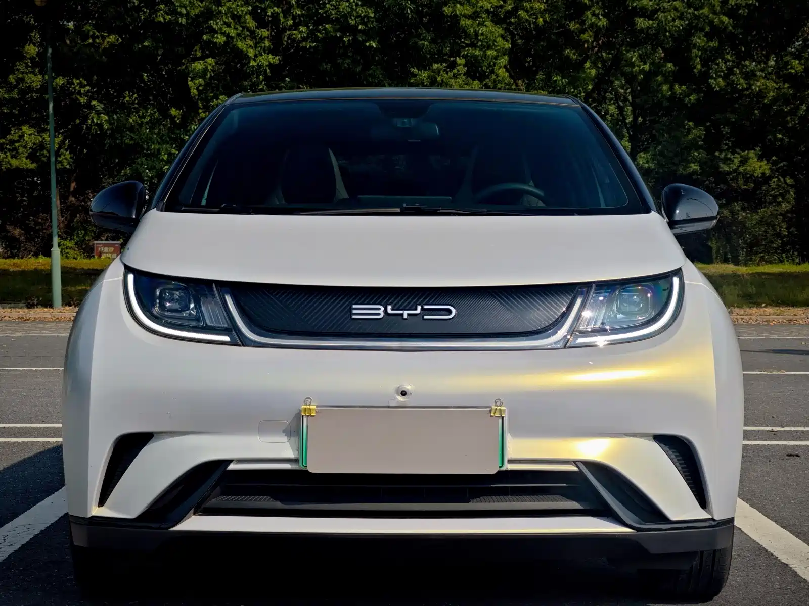 Фото 2 - BYD Dolphin