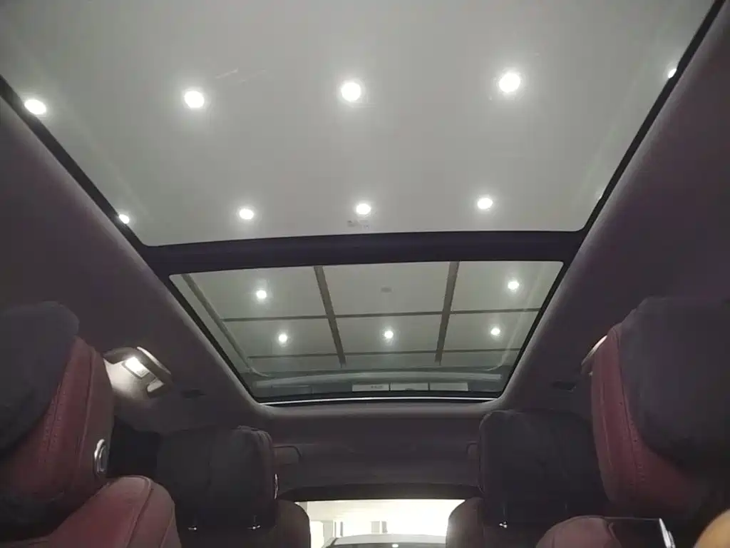 Hongqi E-HS9 2023 2021 460km Flagship Comfort 6-seater