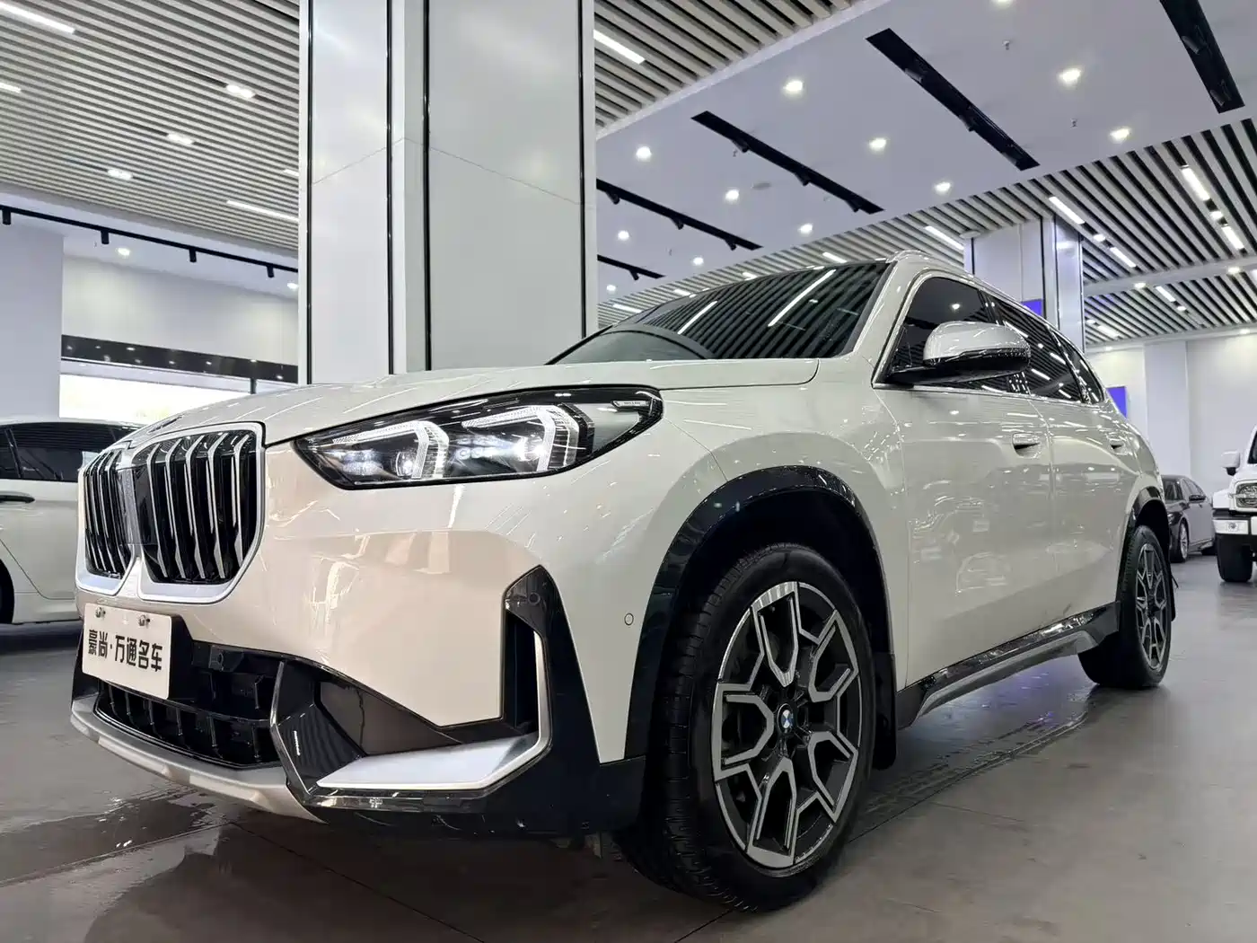 BMW X1 2023 sDrive25Li X Design Package