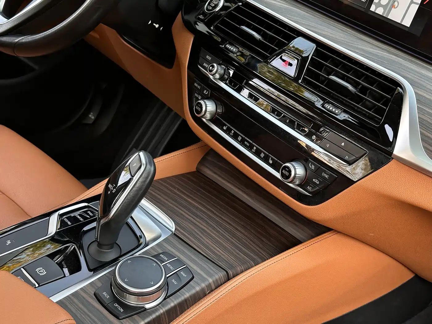 BMW 5 Series 2018 530Li xDrive Luxury Package фото 14