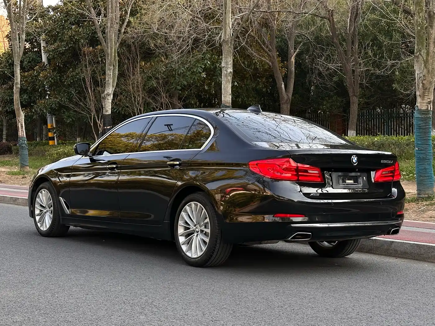 BMW 5 Series 2018 530Li xDrive Luxury Package фото 3