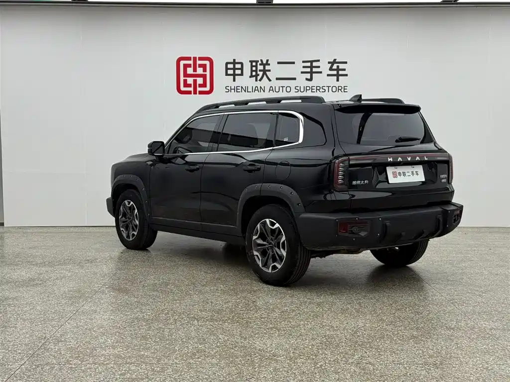 HAVAL BIG DOG