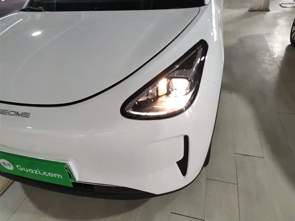 Geely Galaxy Starry Wish 2026 2026 Edition 310km Youth Version