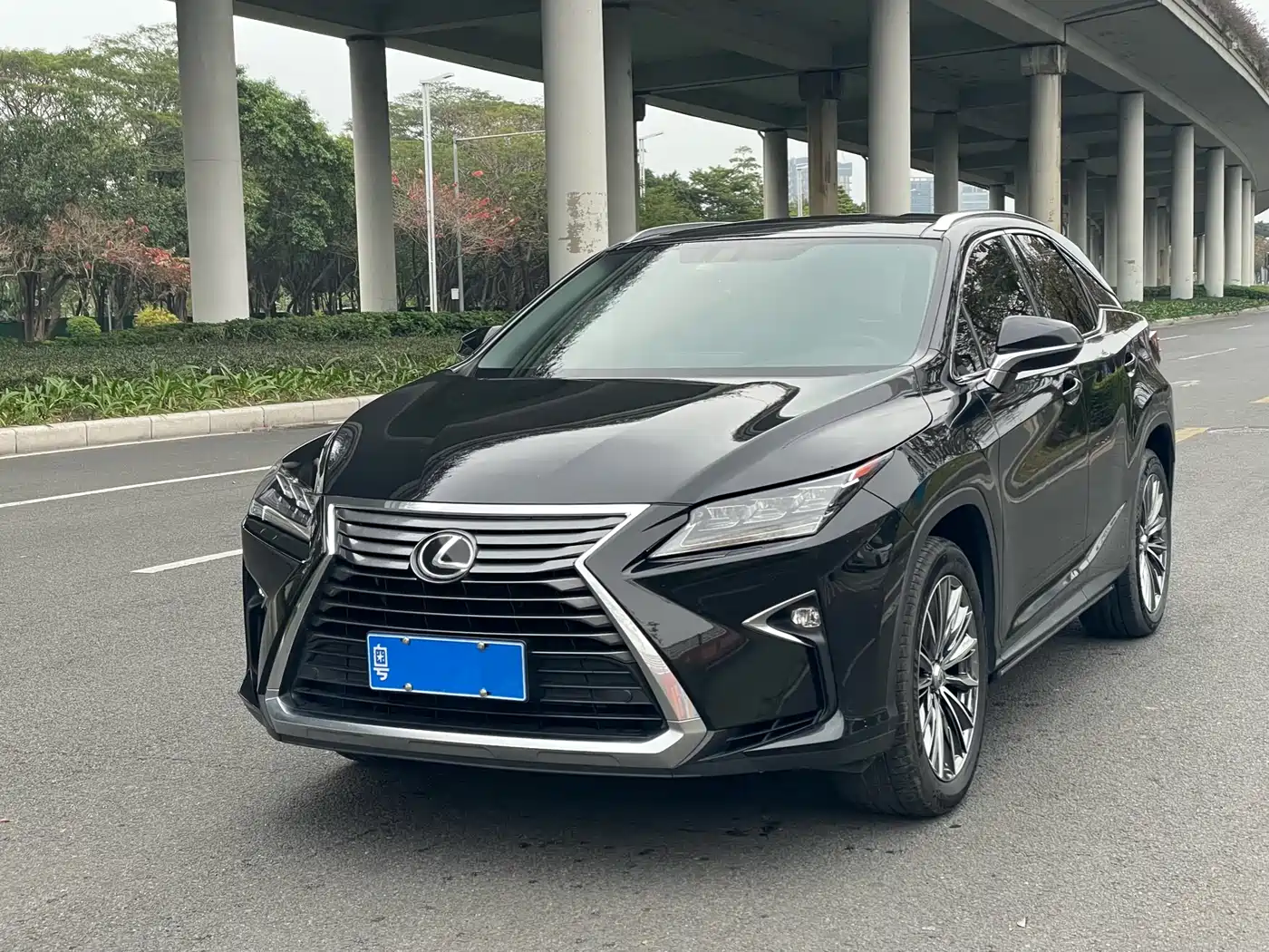 Lexus RX 2016 300 4WD Elegance Edition (China V)