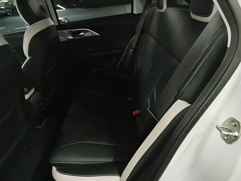 Geely Geometry E Firefly 2022 2022 401KM Delicate Tiger 4-seater