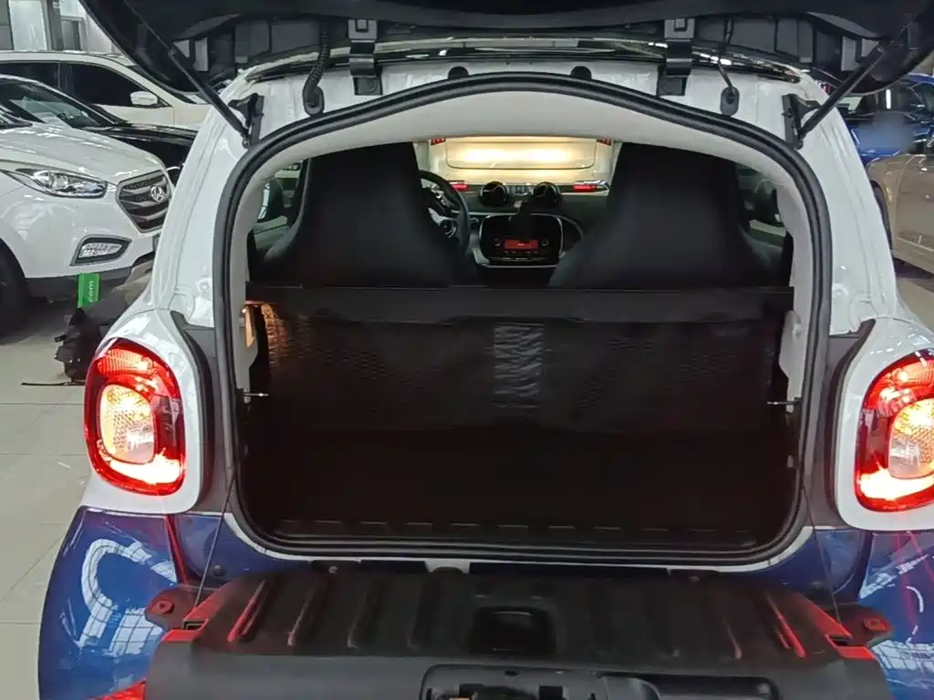smart fortwo 2019 2018 1.0L 52kW Hardtop Passion Edition China V