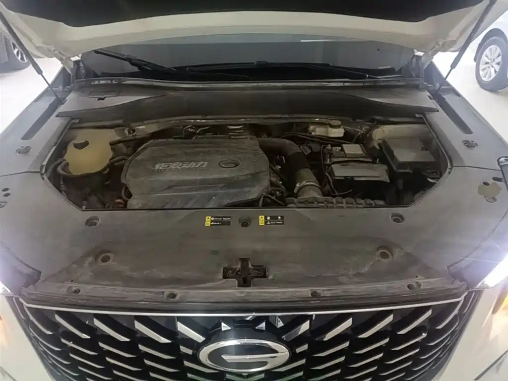 GAC Trumpchi Trumpchi GS8 2022 Pilot Series 2.0TGDI 4WD Luxury Smart Connect Edition (7-Seater) фото 20