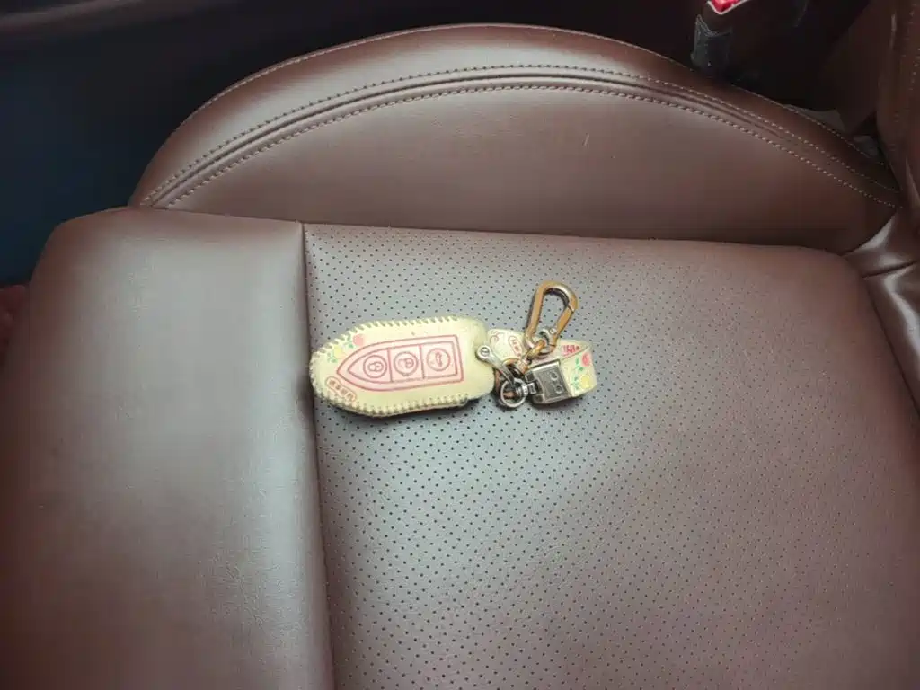Leopaard Mattu 2018 2018 1.6T GDI DCT Elite