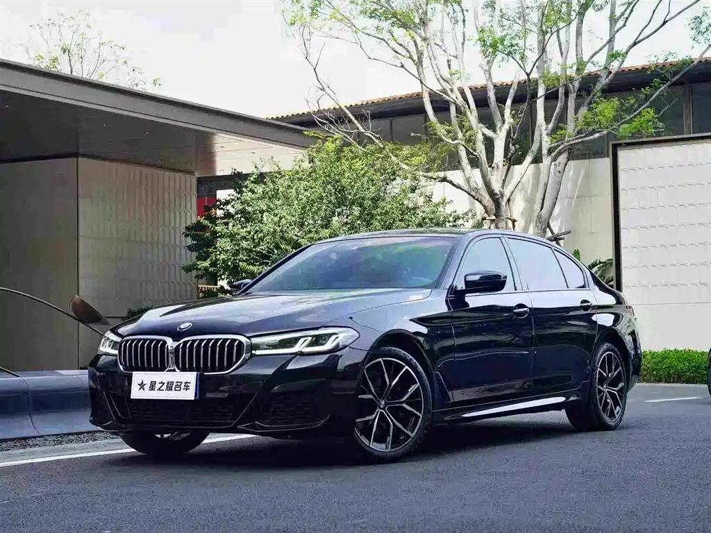 BMW 5 SERIES