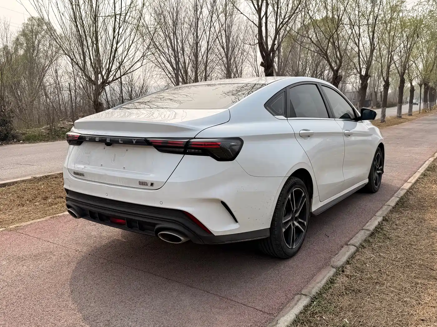 GEELY AUTOMOBILE BINRUI