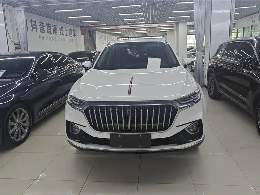Hongqi HS5 2019 2.0T Smart Connect Enjoy 4WD Edition фото 2