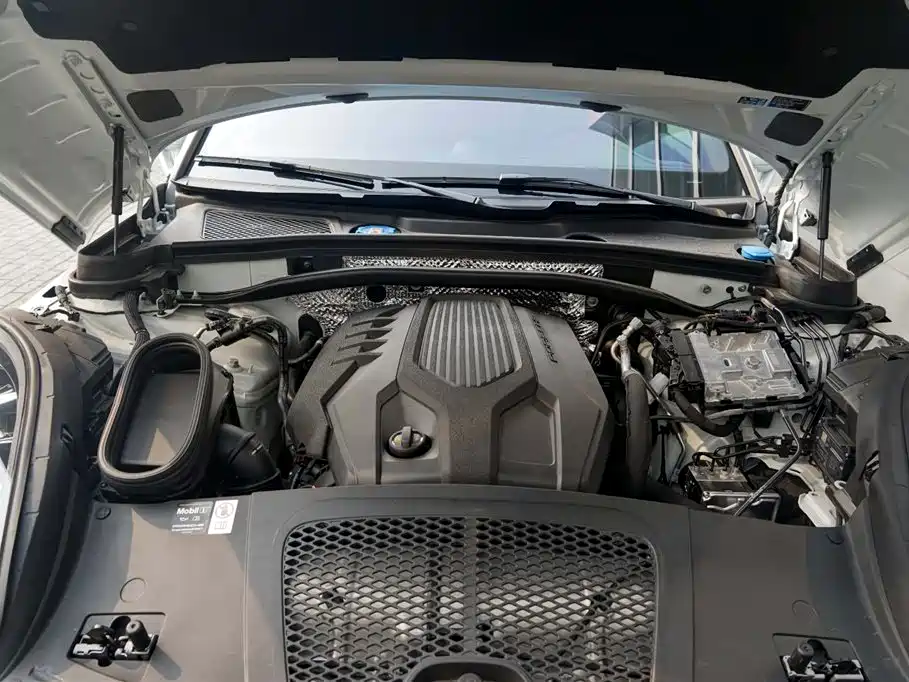 Porsche Macan 2025 2025 Macan 2.0T Dream Chaser Edition