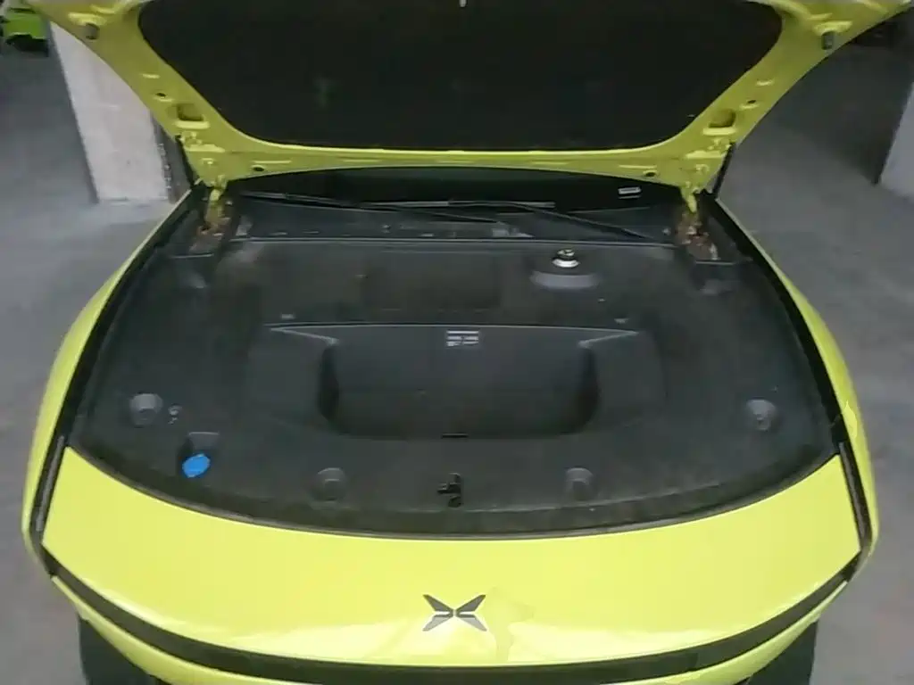 Фото 20 - XPeng P7