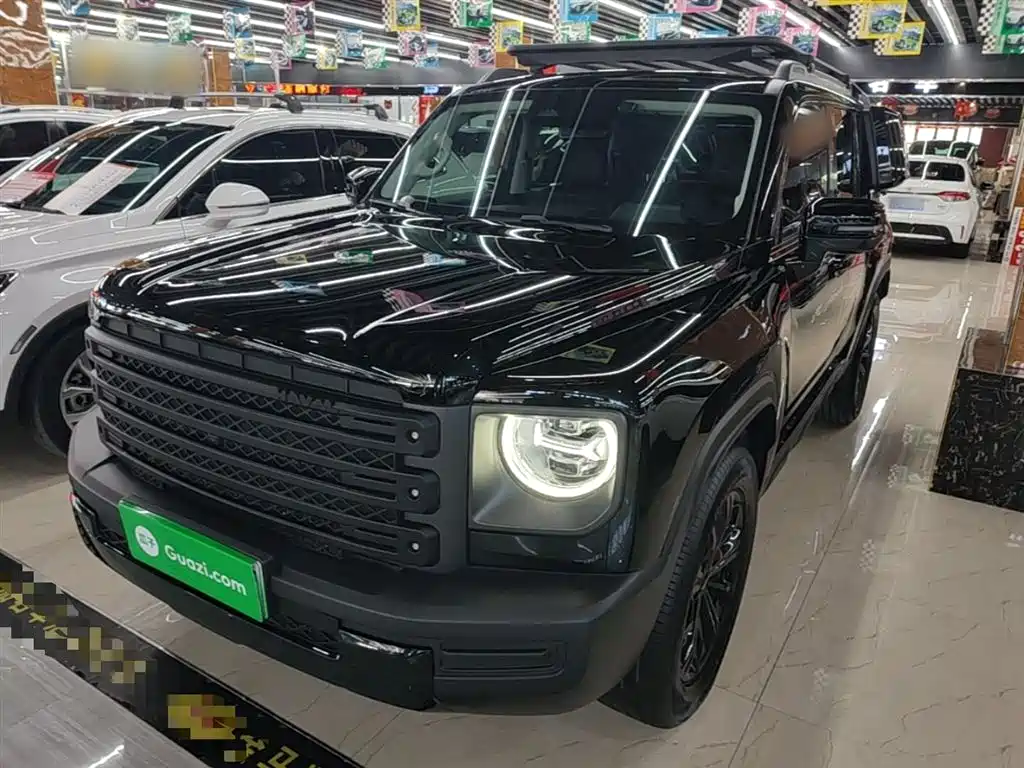 Haval Meng Long NEV 2024 Hi4 102 Pro