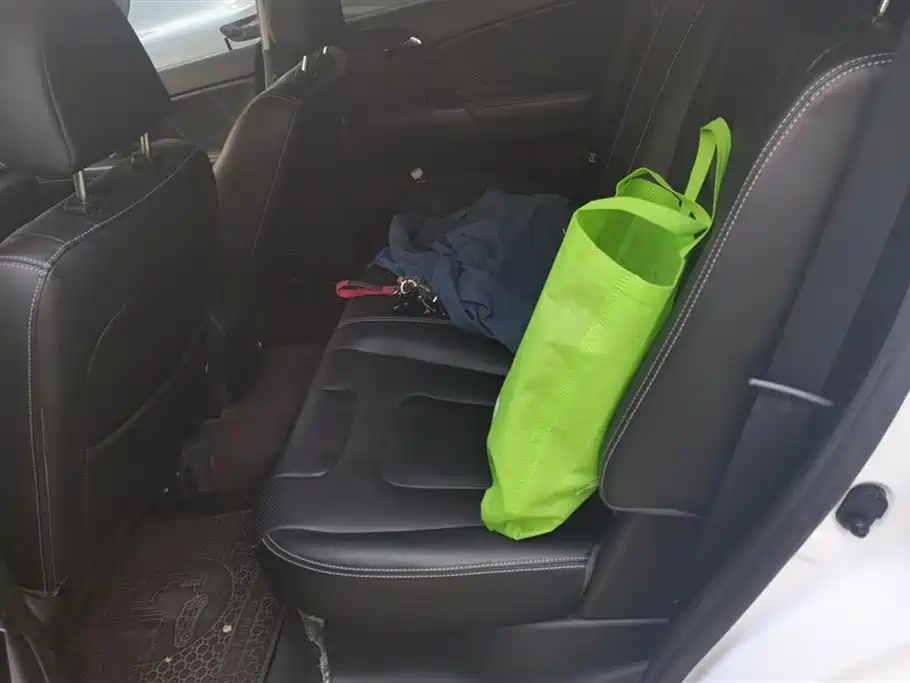 BYD e6