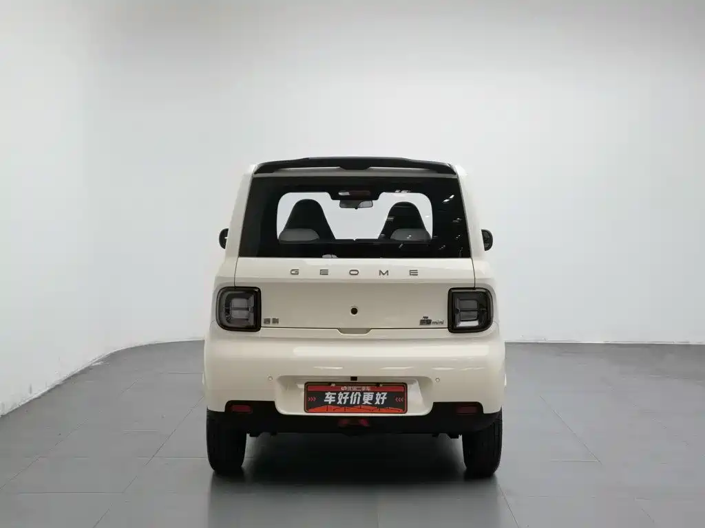 Geely Galaxy Panda 2026 2025 Panda mini 210km Vitality Bear