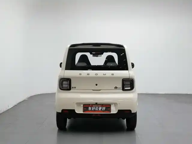 Geely Galaxy Panda 2025 Panda mini 210km Vitality Bear — фото 4