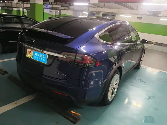 Tesla Model X 2019 Long Range Version — фото 5