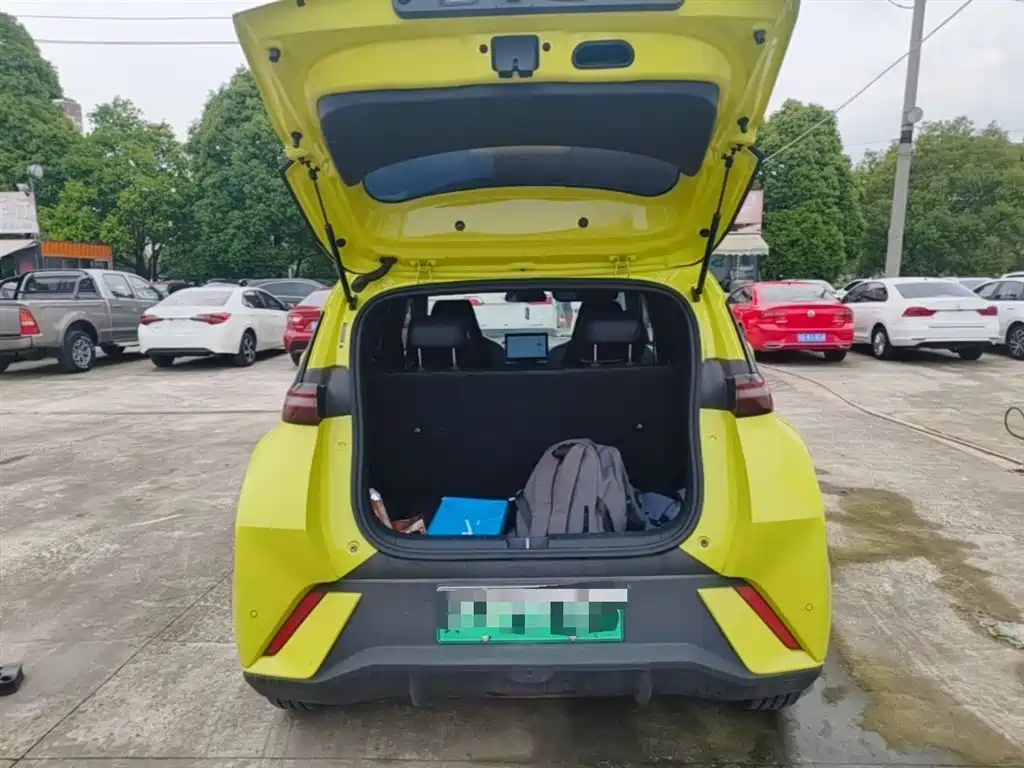 BYD Seagull 2023 Flying Edition фото 15
