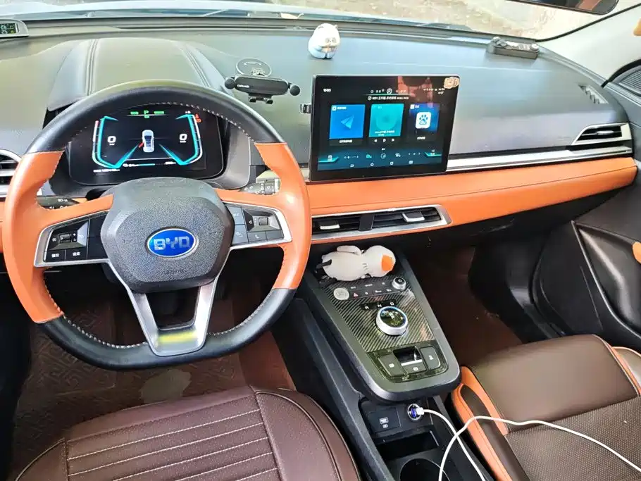 BYD e2 2021 2021 Luxury Edition