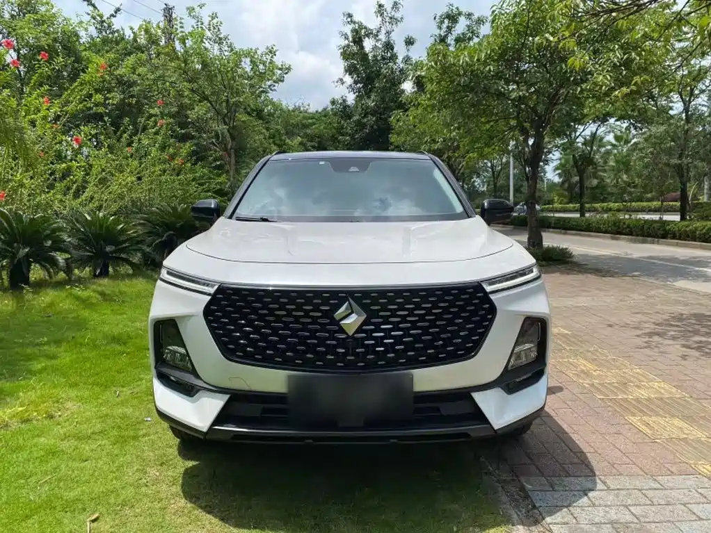 Baojun RS-5 2019 2019 1.5T CVT Intelligent Driving Control Flagship Edition China V