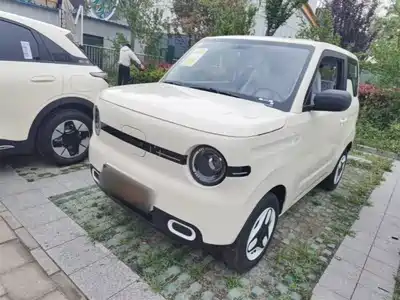 Geely Panda