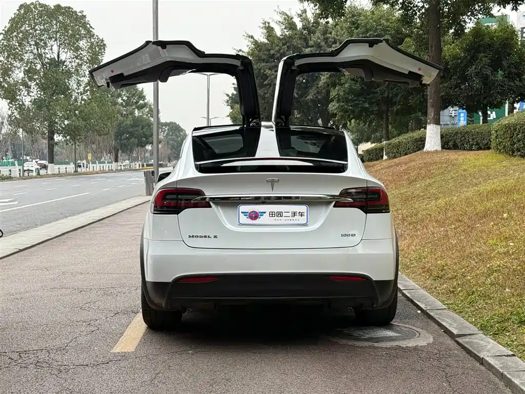 TESLA MODEL X