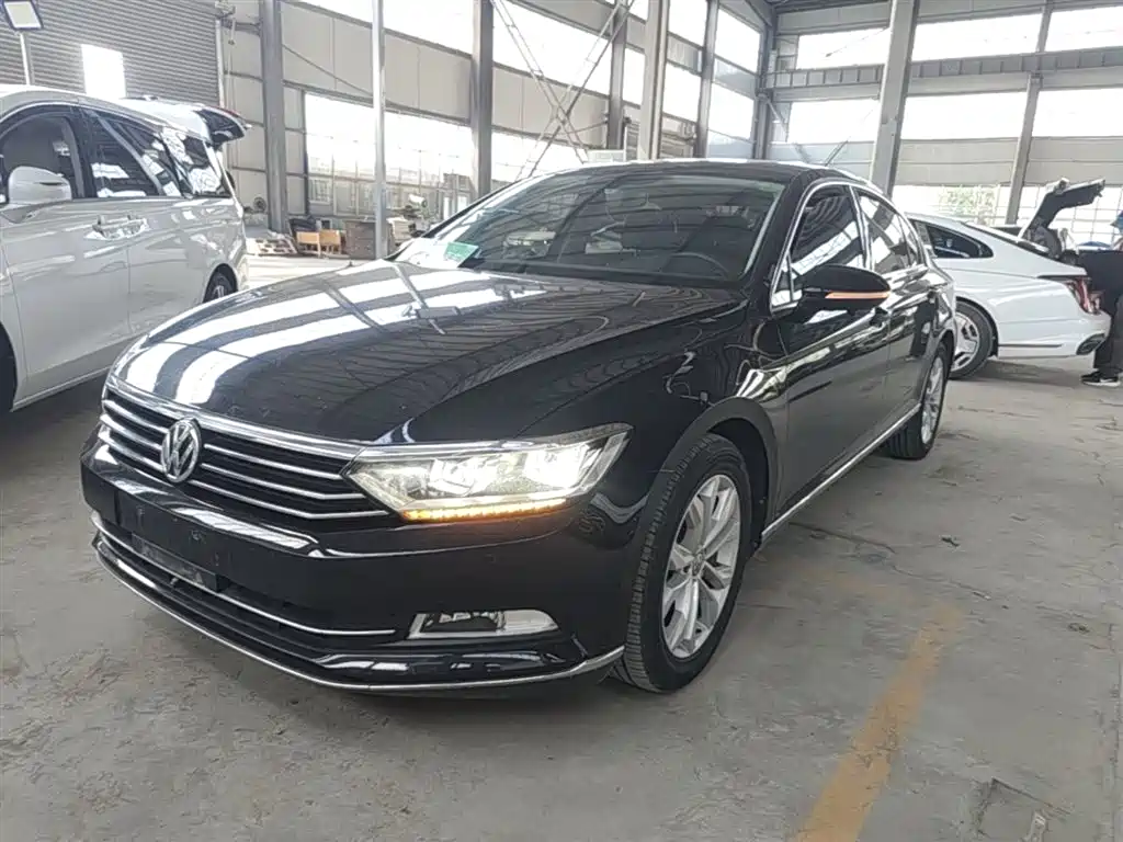 Volkswagen Magotan 2019 330TSI DSG Luxury Class China VI